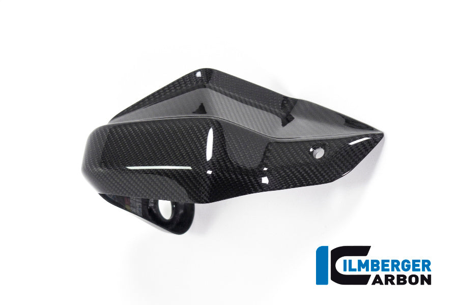 Ilmberger Carbon Hand Protector Right Side BMW R 1250 GS