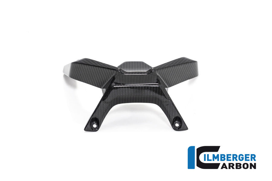 Ilmberger Carbon Windshield BMW R 1250 R 2019 - 2022