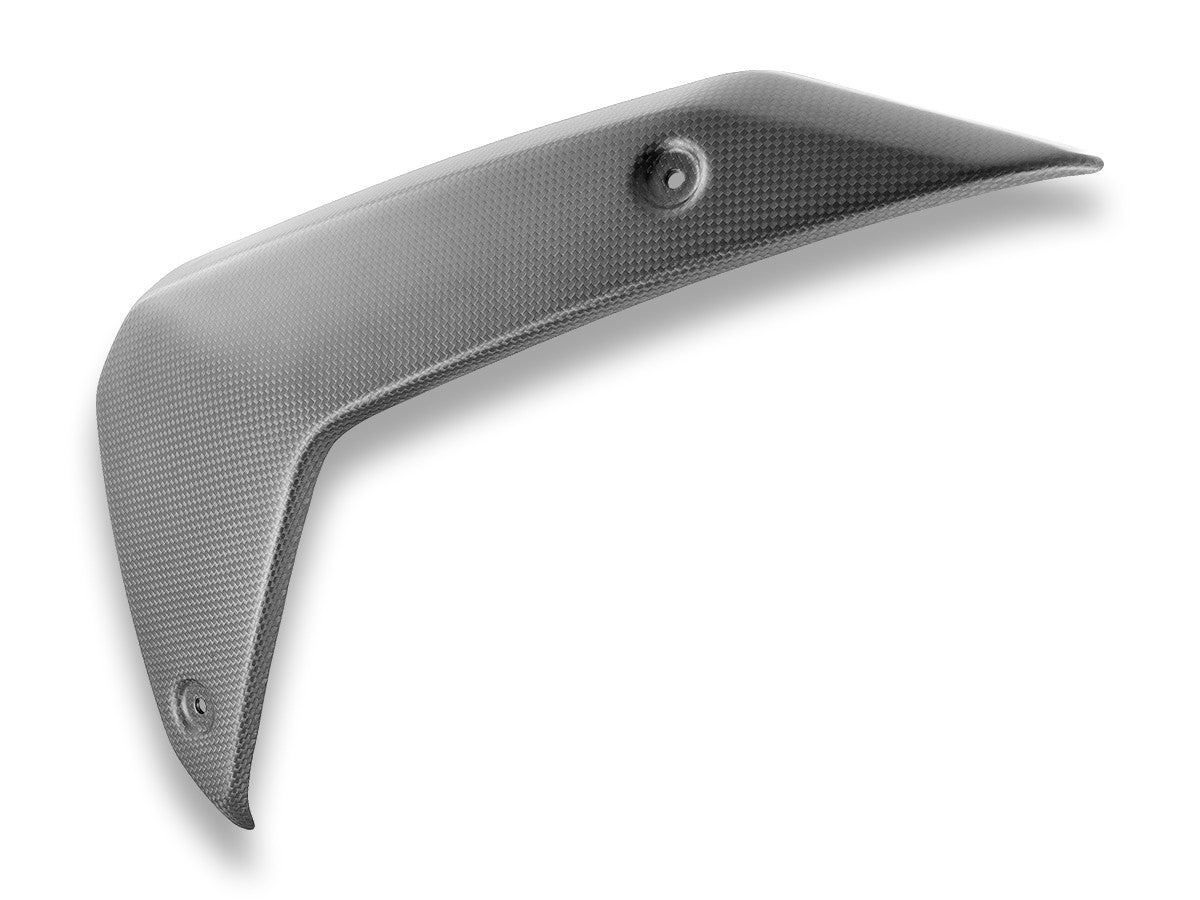 Ducabike DBK CRB180O BMW R1300GS Matt Carbon Side Panels