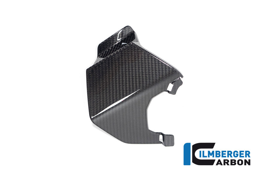 Ilmberger Carbon Upper Wing Right BMW M 1000 XR 2024