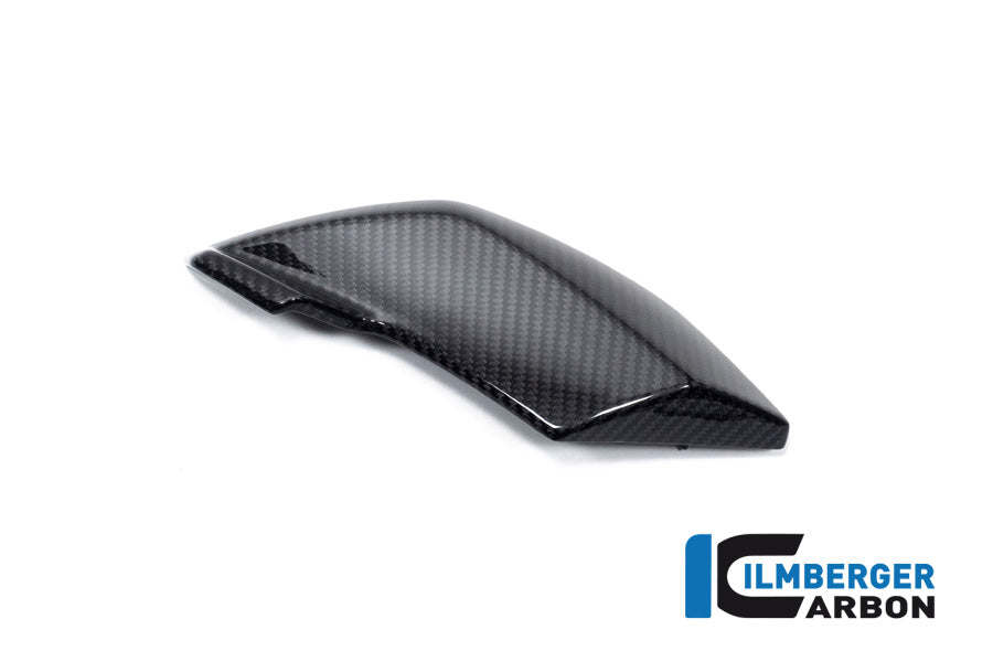 Ilmberger Carbon Side Cover Headlight Left Side BMW S 1000 R MY From 2021 / M 1000 R MY From 2023
