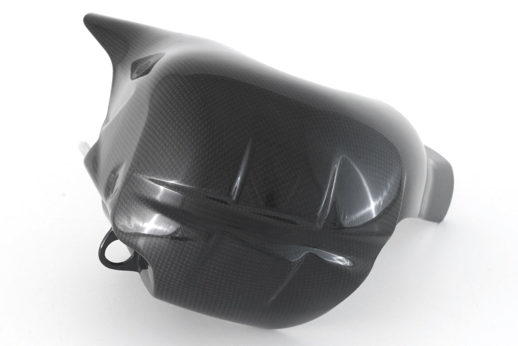 Fullsix Carbon Exhaust Protection OEM Euro5 - 2021