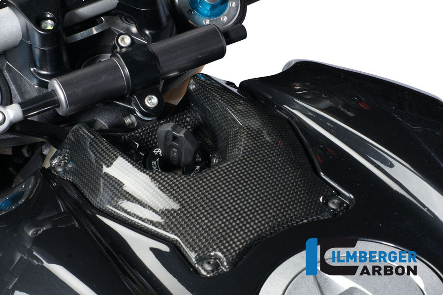 Ilmberger Carbon Ignition Lock Cover Carbon