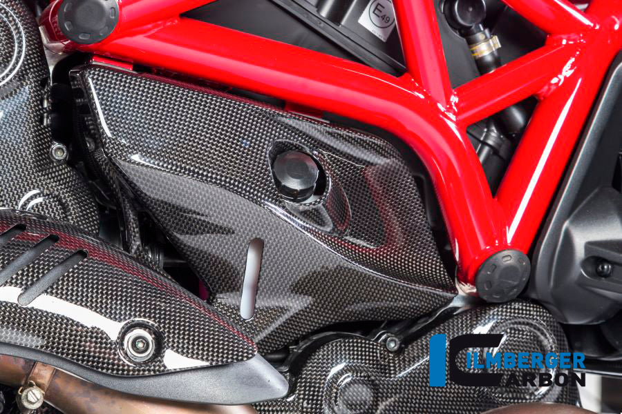 Ilmberger Carbon Cover Under The Frame Right - Gloss