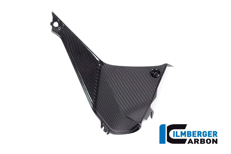 Ilmberger Carbon Cover Near The Instrument Right Side BMW R 1250 RS