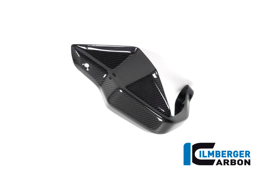 Ilmberger Carbon Hand Protector Left Side BMW R 1250 GS
