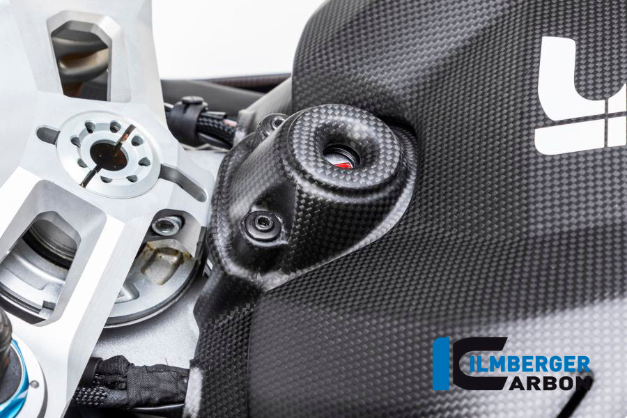 Ilmberger Carbon Ignition Switch Cover Ducati Panigale V4 / V4 S - Matte