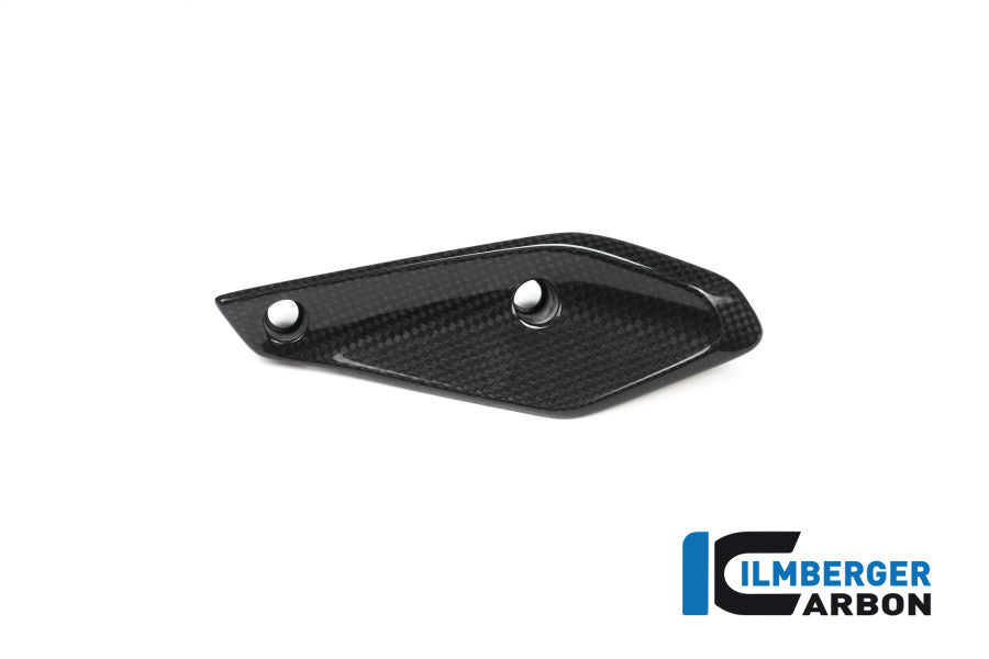 Ilmberger Carbon Verkleidungswinglet Links BMW R 1200 RS'15