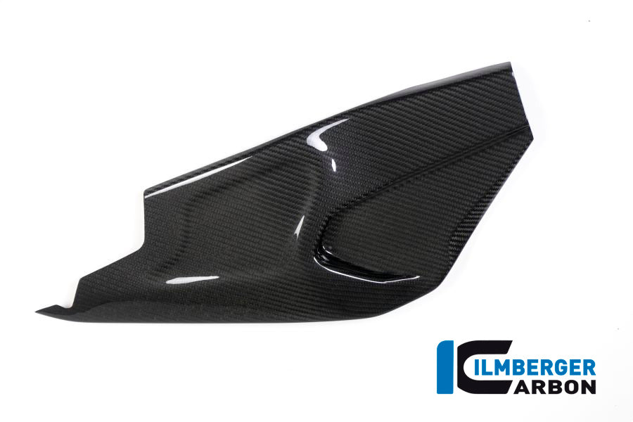 Ilmberger Carbon Swing Arm Cover Right Side BMW HP4 RACE