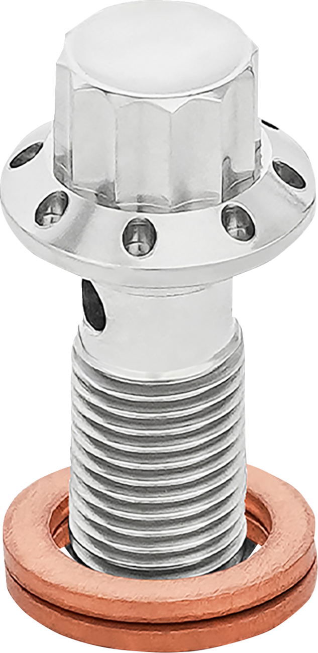 Arlen NESS Banjo Bolt - 3/8"-24 - Polished