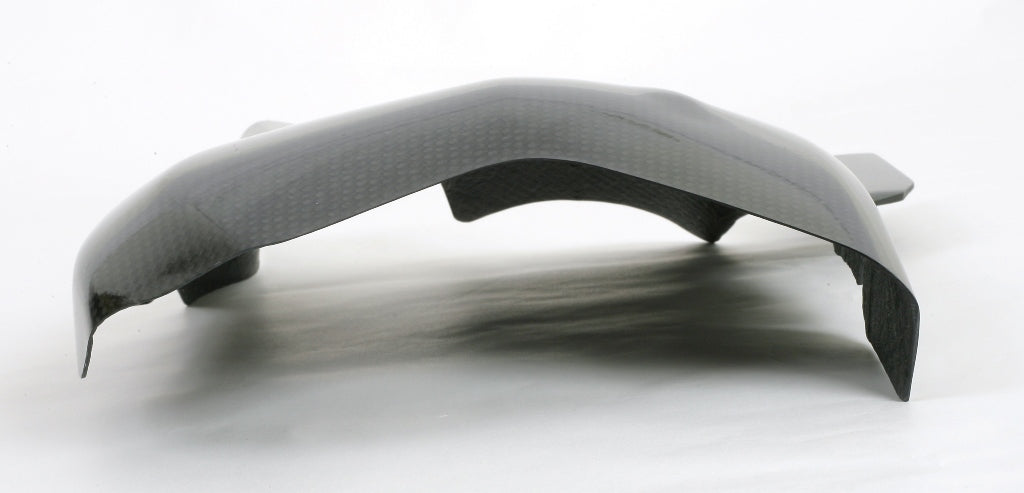 Fullsix Carbon Swingarm Guard