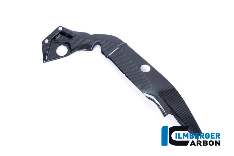 Ilmberger Carbon Frame Cover Right Side - BMW S 1000 R (Ab 2017)