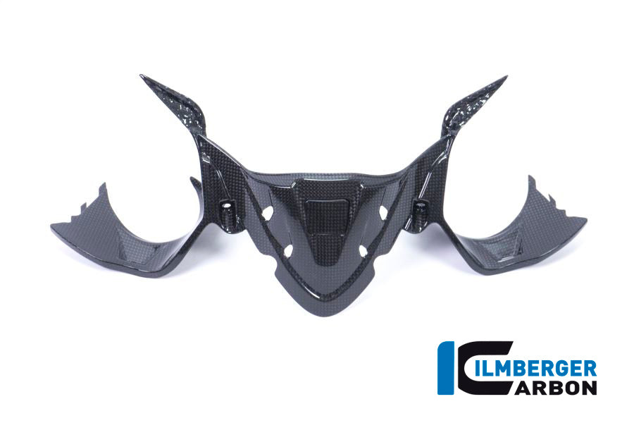 Ilmberger Carbon Instrument Panel With GPS Gloss Ducati Panigale 1299 (From 2015)