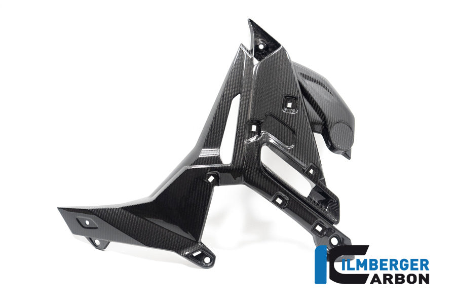 Ilmberger Carbon Watercooler Cover Left Side BMW S 1000 R MY From 2021