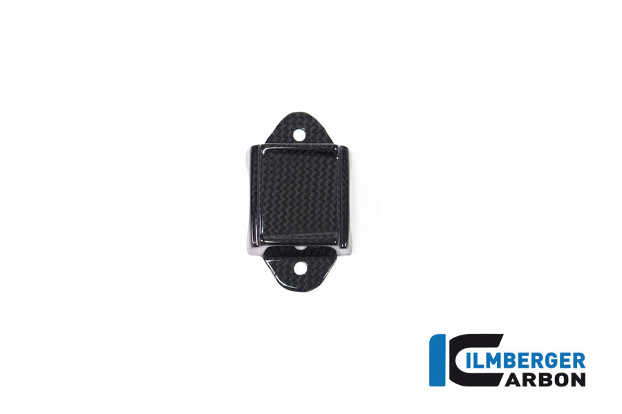 Ilmberger Carbon Instrument Cover Ducati Panigale V4 / V4 S - Gloss