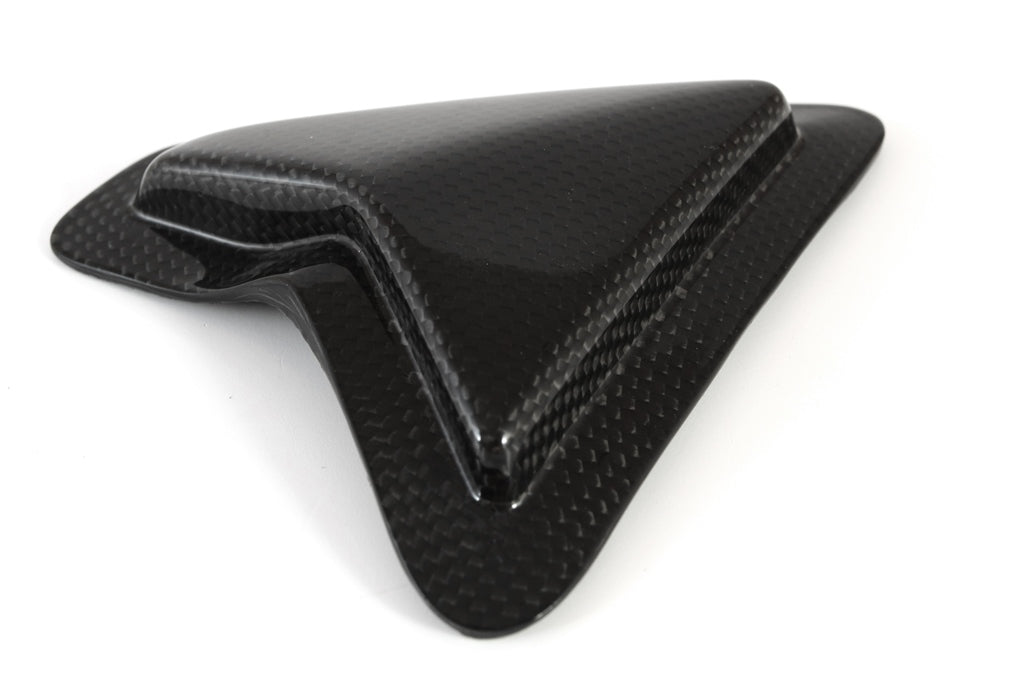 Fullsix Carbon Swingarm Guard - Slider