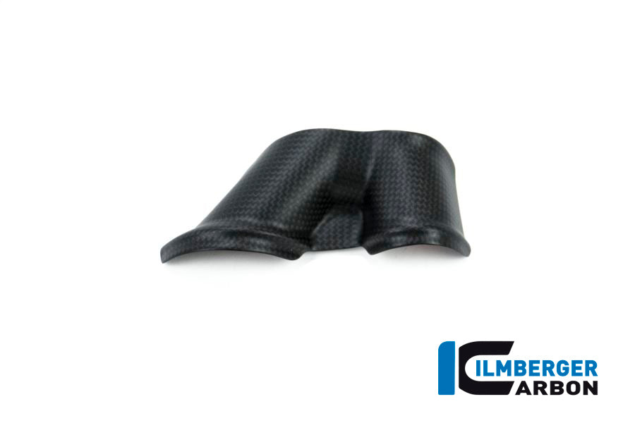 Ilmberger Carbon Swing Arm Cover Set 2-Parts Ducati XDiavel 2016 3Tlg - Matte