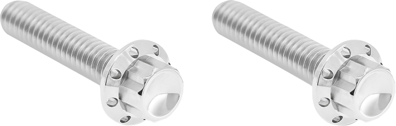 Arlen NESS Transmission Side Cover Titanium 12-Point Bolt Cover