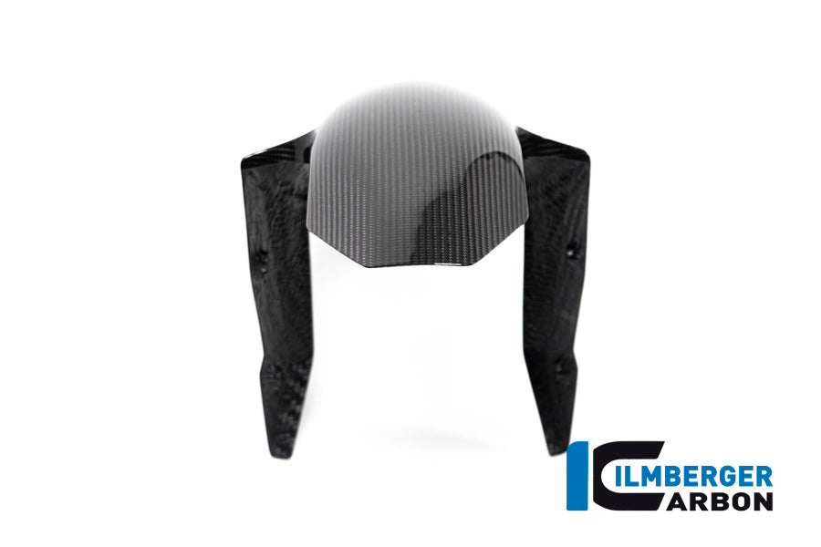 Ilmberger Carbon Front Fender BMW R 1250 R MY From 2019