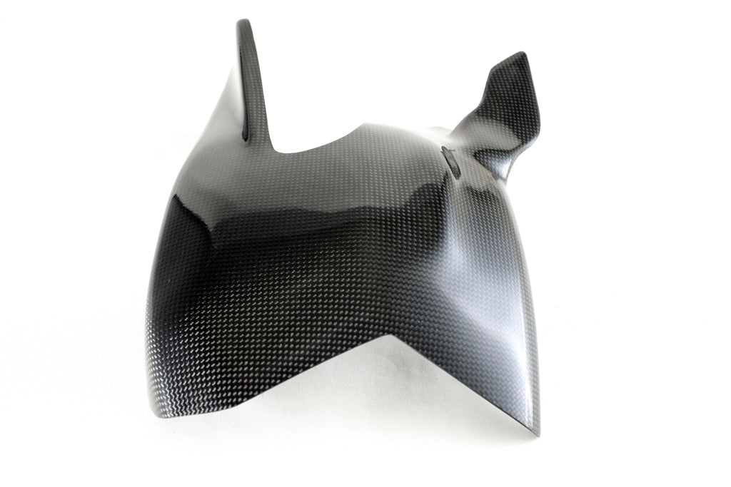 Fullsix Carbon Swingarm Guard