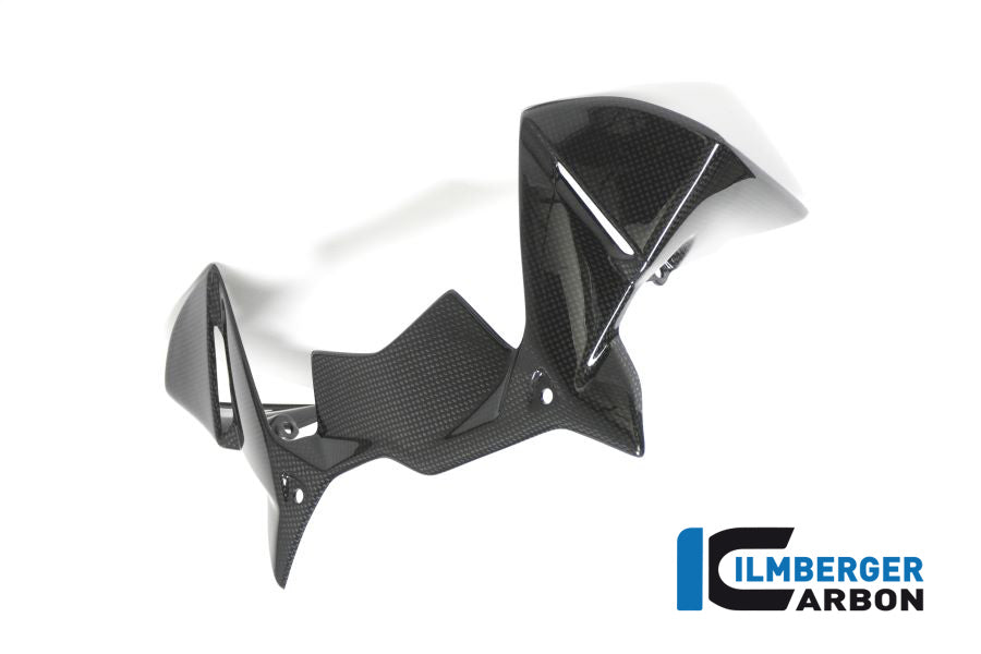 Ilmberger Carbon Windprotector On The Instruments BMW R 1200 GS´17