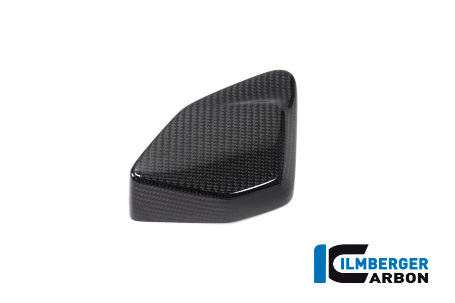 Ilmberger Carbon ESA Box Cover R 1250 GS