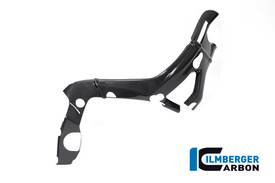 Ilmberger Carbon Frame Cover Big Right BMW S 1000 RR From MY 2019
