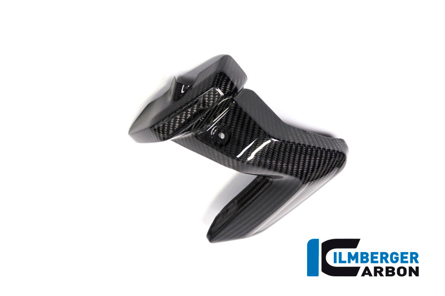 Ilmberger Carbon Spark Plug Cover Left Side BMW R 1250 GS / R 1250 R, And RS
