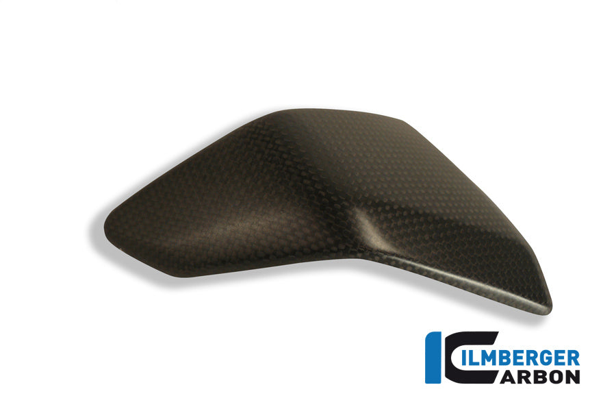 Ilmberger Carbon Left Side Fairing Insert Ducati 2012-2017