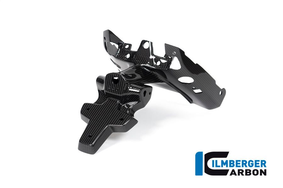 Ilmberger Carbon Numberplateholder (2 Pieces) BMW R 1250 R / R 1250 RS
