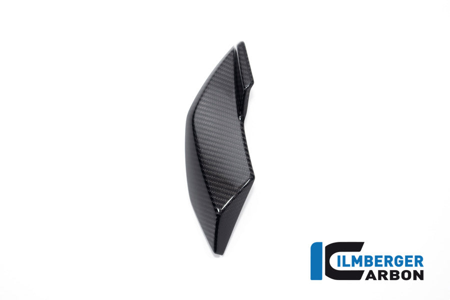 Ilmberger Carbon Side Cover Headlight Right Side BMW S 1000 R MY From 2021 / M 1000 R MY From 2023