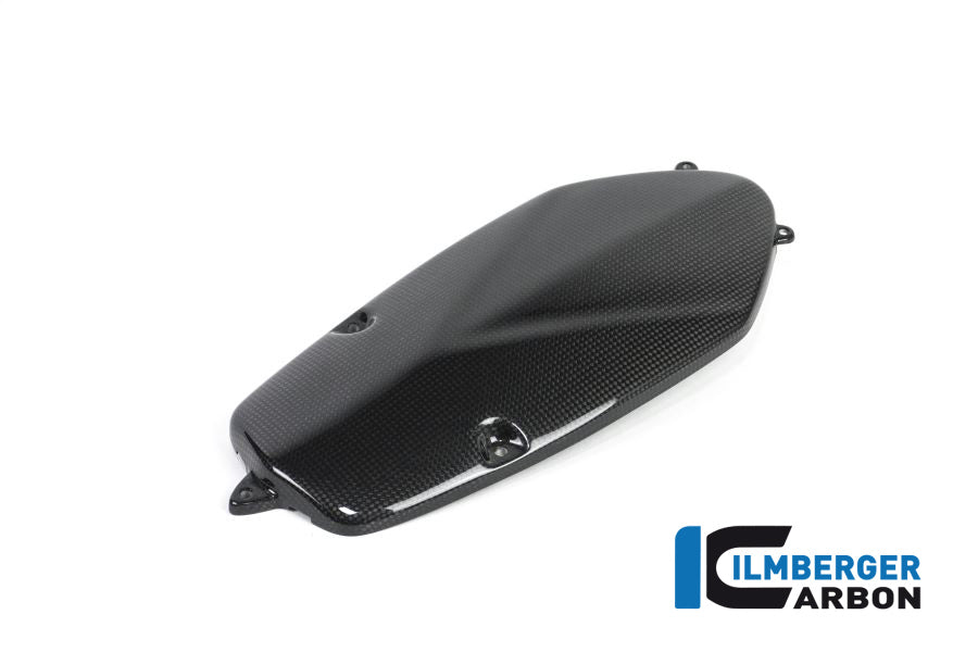 Ilmberger Carbon Alternator Cover Carbon