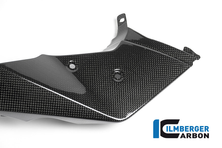 Ilmberger Carbon Front Beak / Upper Fender Left Part