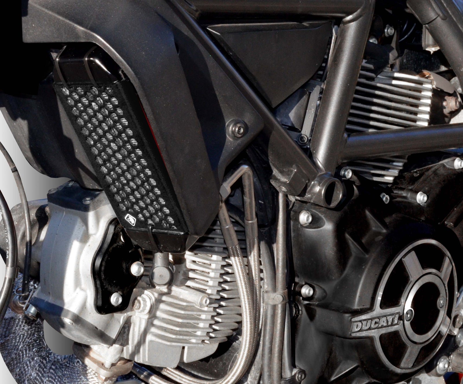 Ducabike DBK GR03 Scrambler Oil Cooler Guard