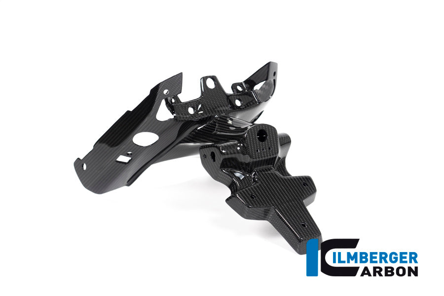 Ilmberger Carbon Numberplateholder (2 Pieces) BMW R 1250 R / R 1250 RS