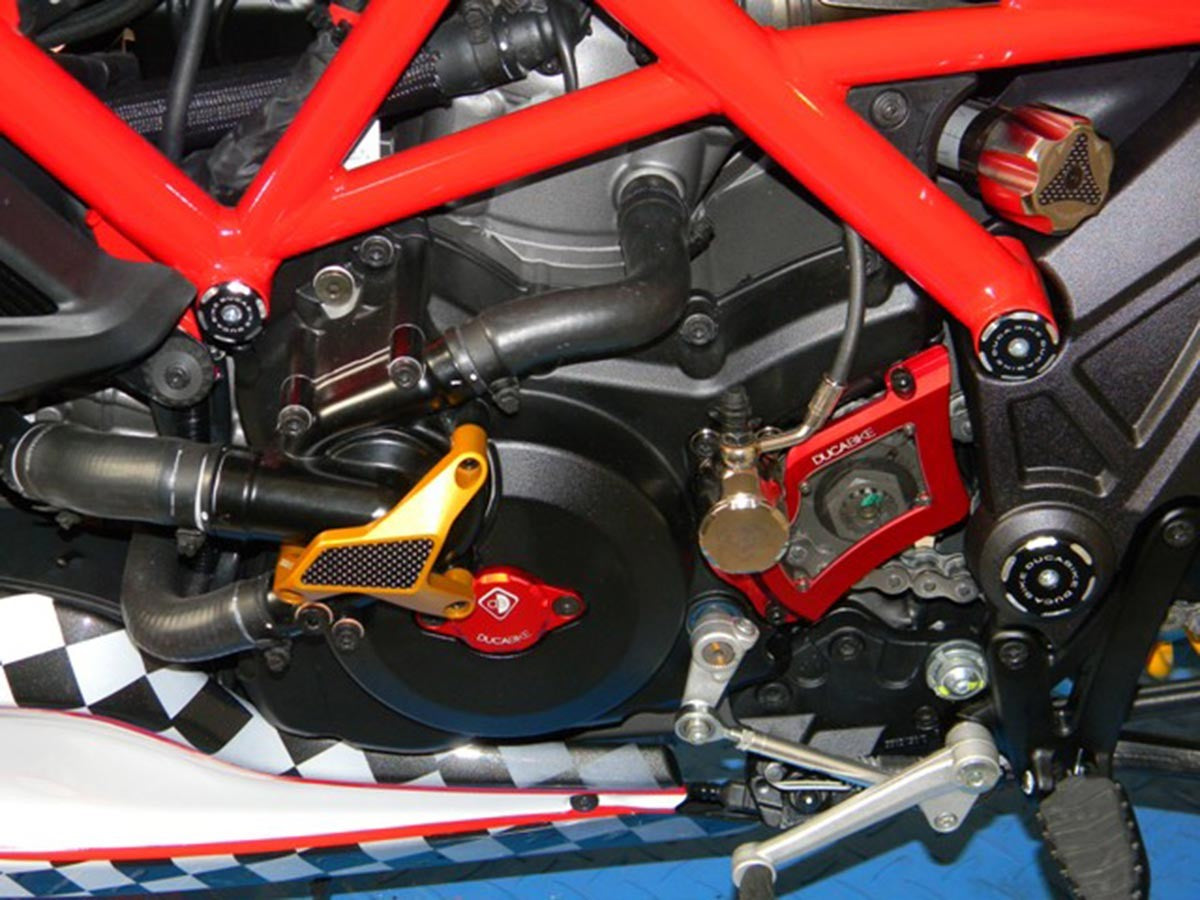 Ducabike DBK PPA01 Water Pump Protection - RED
