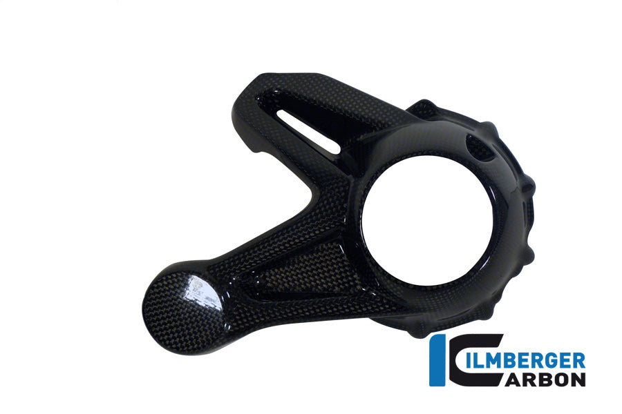 Ilmberger Carbon Cardan Housing Cover (Mounting Without Rear Splash Guard) Carbon For The Water-Cooled BMW R 1200