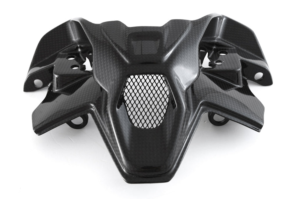 Fullsix Carbon Inner Headlight Fairing