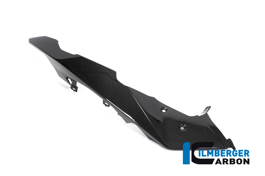 Ilmberger Carbon Front Beak / Upper Mudguard Left Side BMW R 1250 GS Adventure From 2019