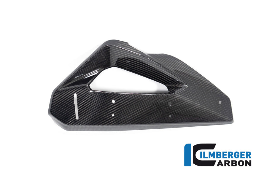 Ilmberger Carbon Cover On The Watercooler With Winglet Position Left BMW M 1000 XR 2024
