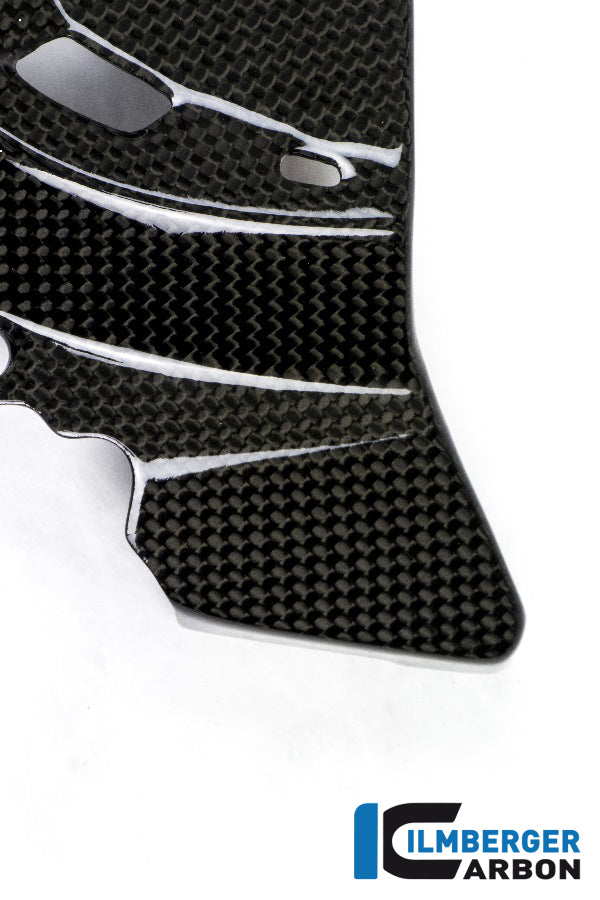 Ilmberger Carbon Sprocket Cover M 1200 - Gloss