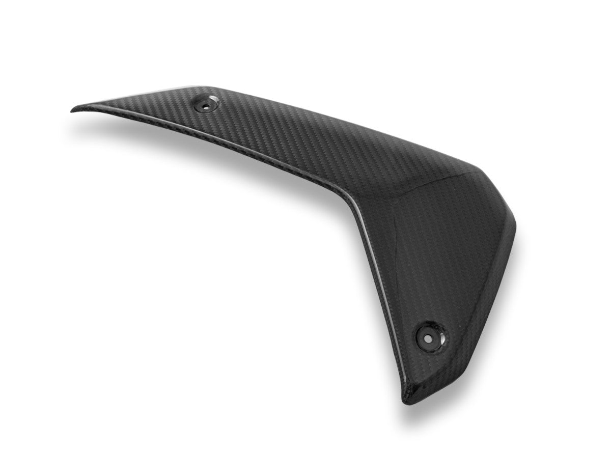 Ducabike DBK CRB180L BMW R1300GS Glossy Carbon Side Panels
