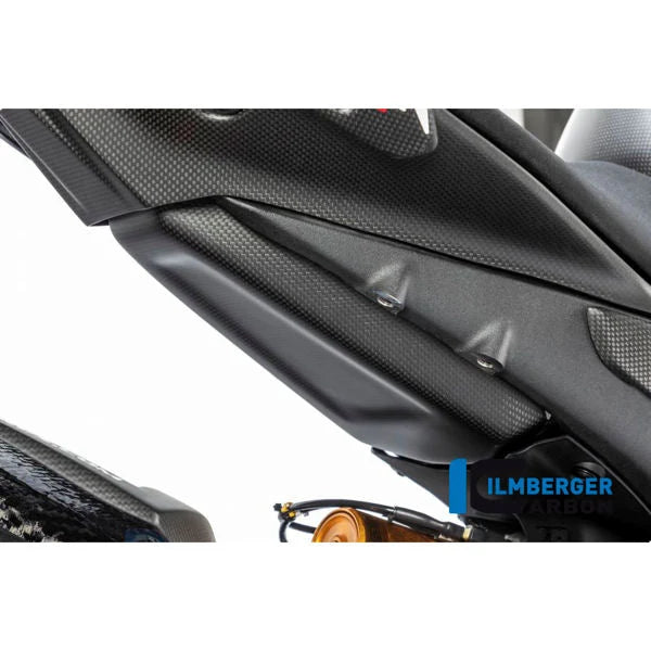 Ilmberger Carbon Fiber Under Tank Protection For Panigale V4 V4S V4R