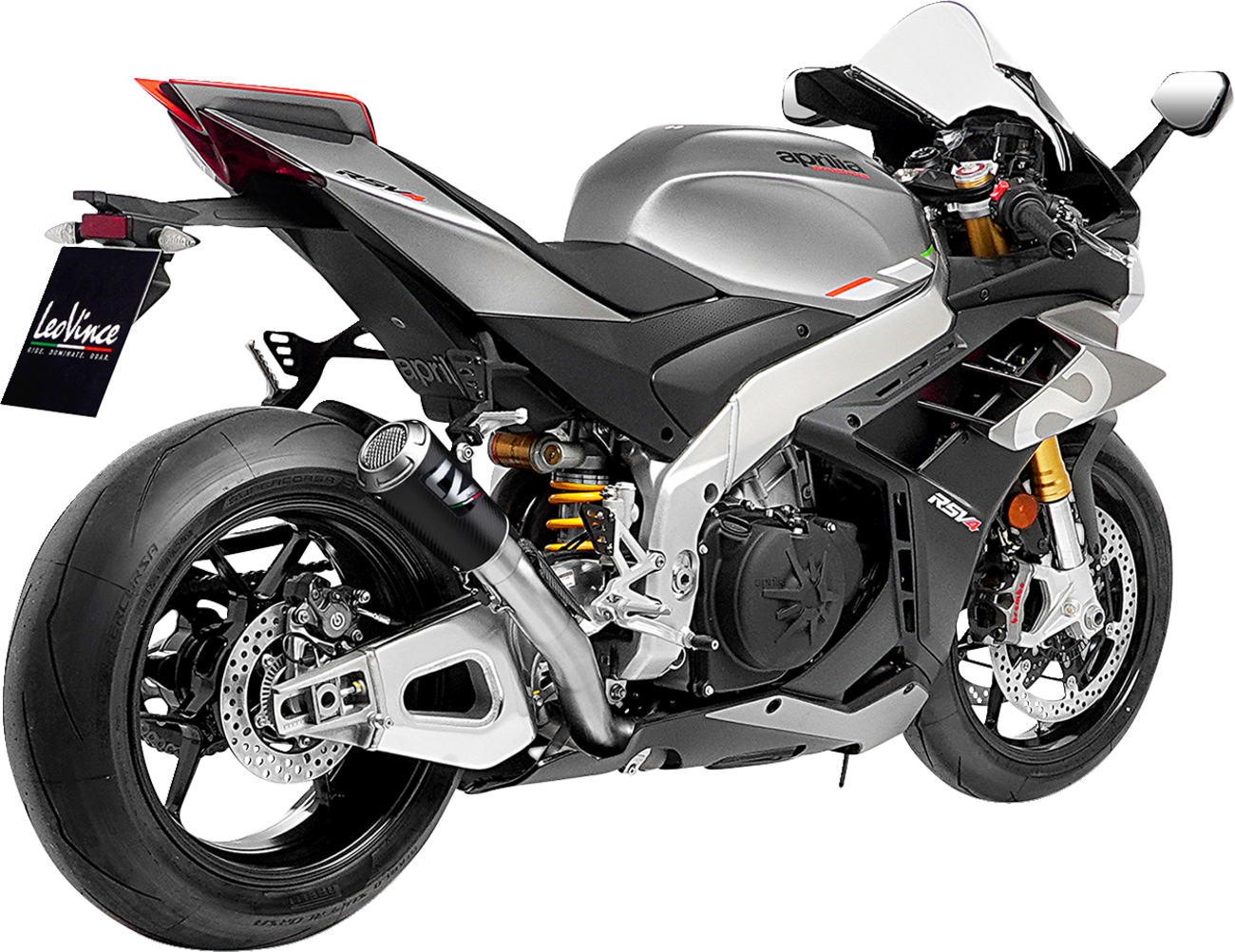 LeoVince LV-10 Slip-On Muffler