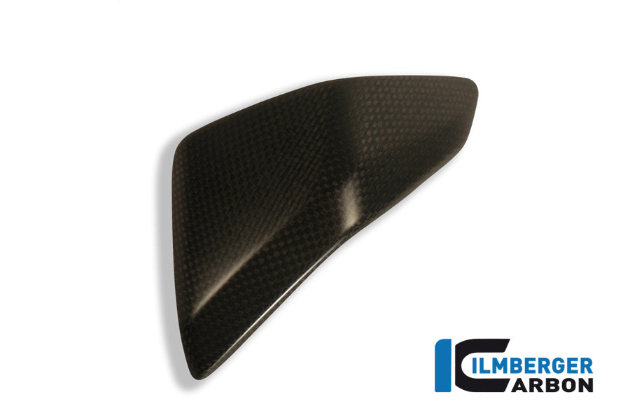 Ilmberger Carbon Right Side Fairing Insert Carbon
