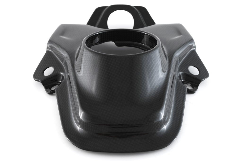 Fullsix Carbon Tank Cover