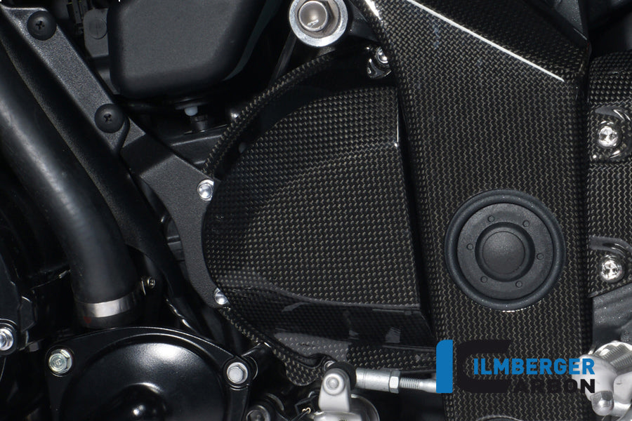 Ilmberger Carbon Sprocket Cover Carbon