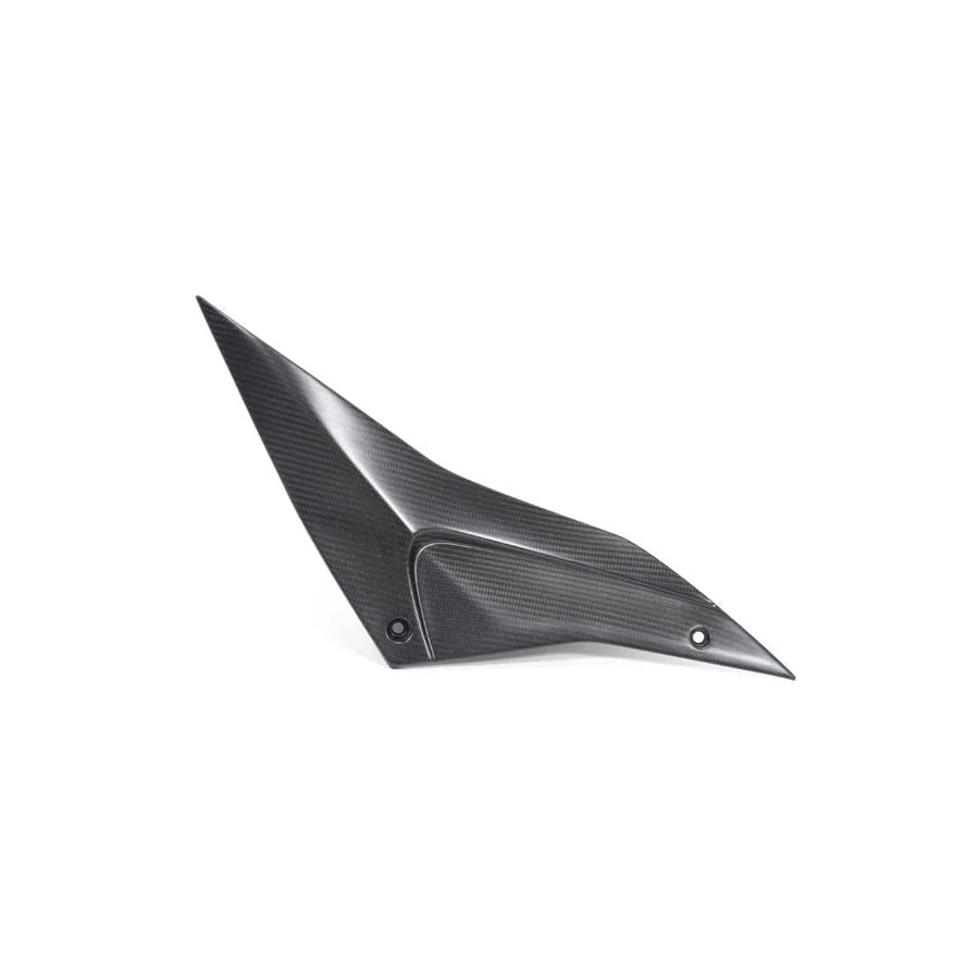 Ilmberger Carbon Fiber Under Tank Side Panels RSV4 1100 Tuono V4