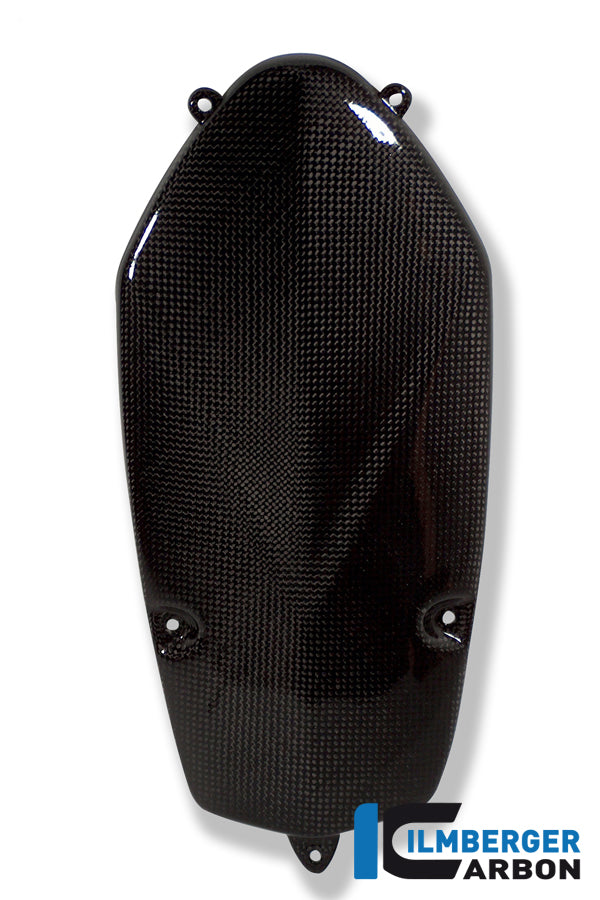 Ilmberger Carbon Alternator Cover Carbon