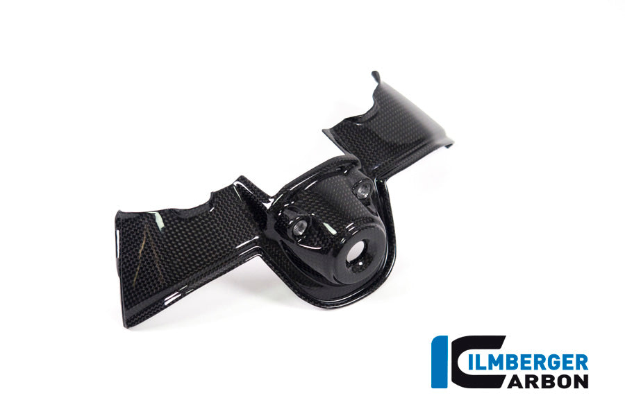Ilmberger Carbon Ignition Switch Cover Ducati Panigale V4 / V4 S - Gloss